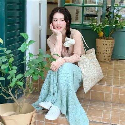 春燕展翅